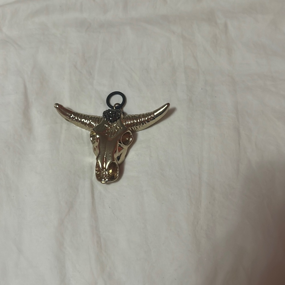 Longhorn Bull Necklace Charm
